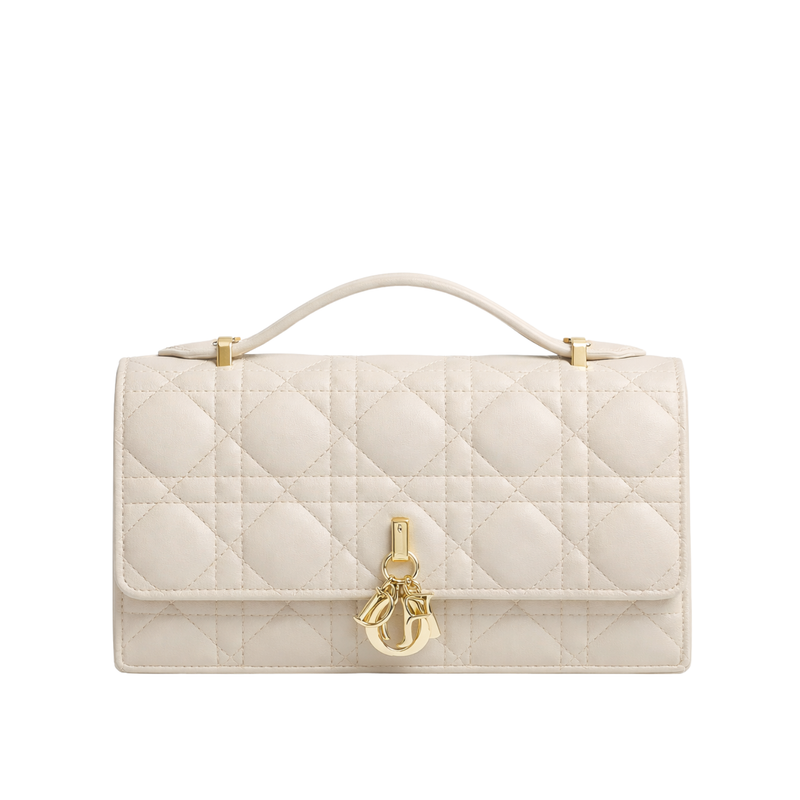 Sac Dior TOP HANDLE BAG