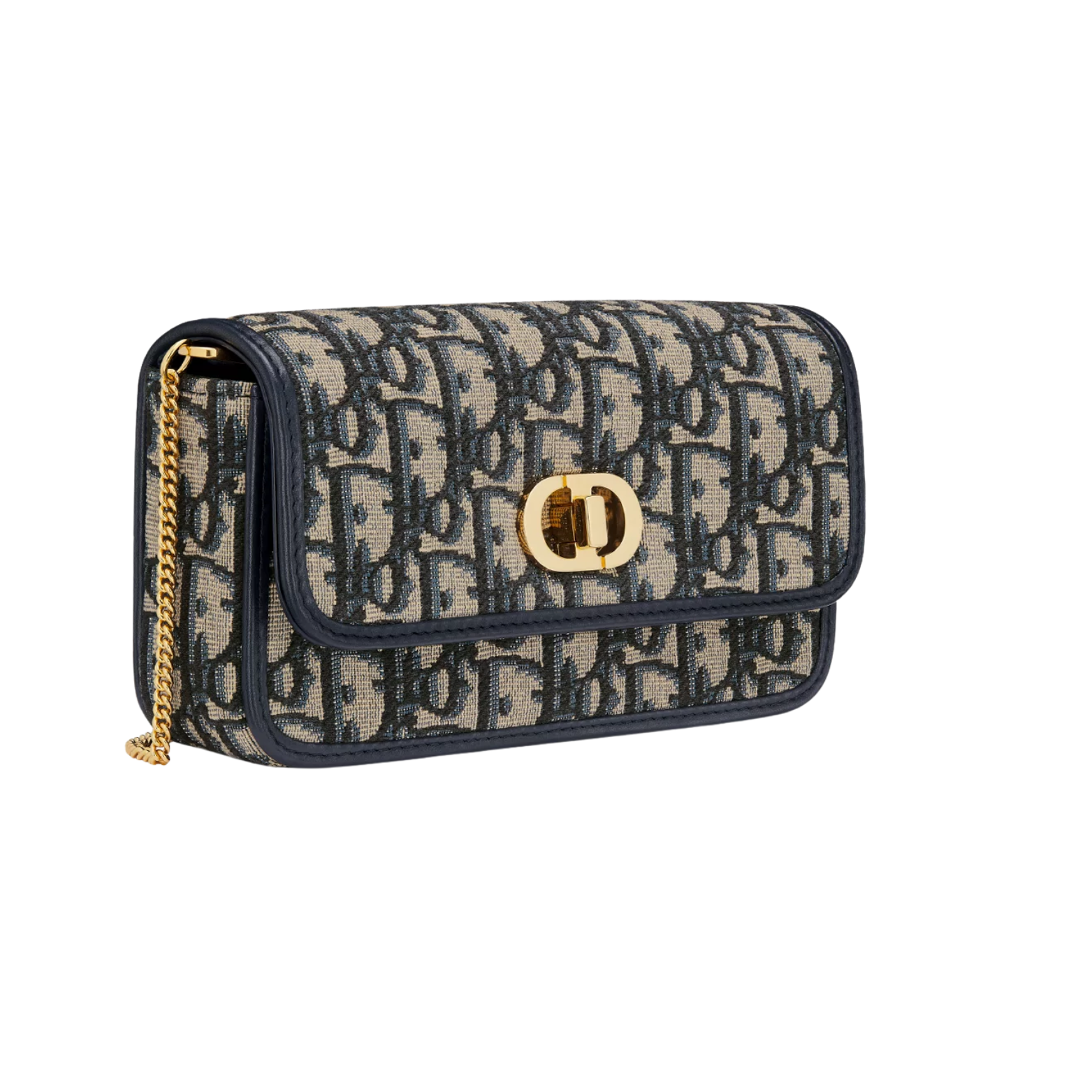 DIOR OBLIQUE BAG