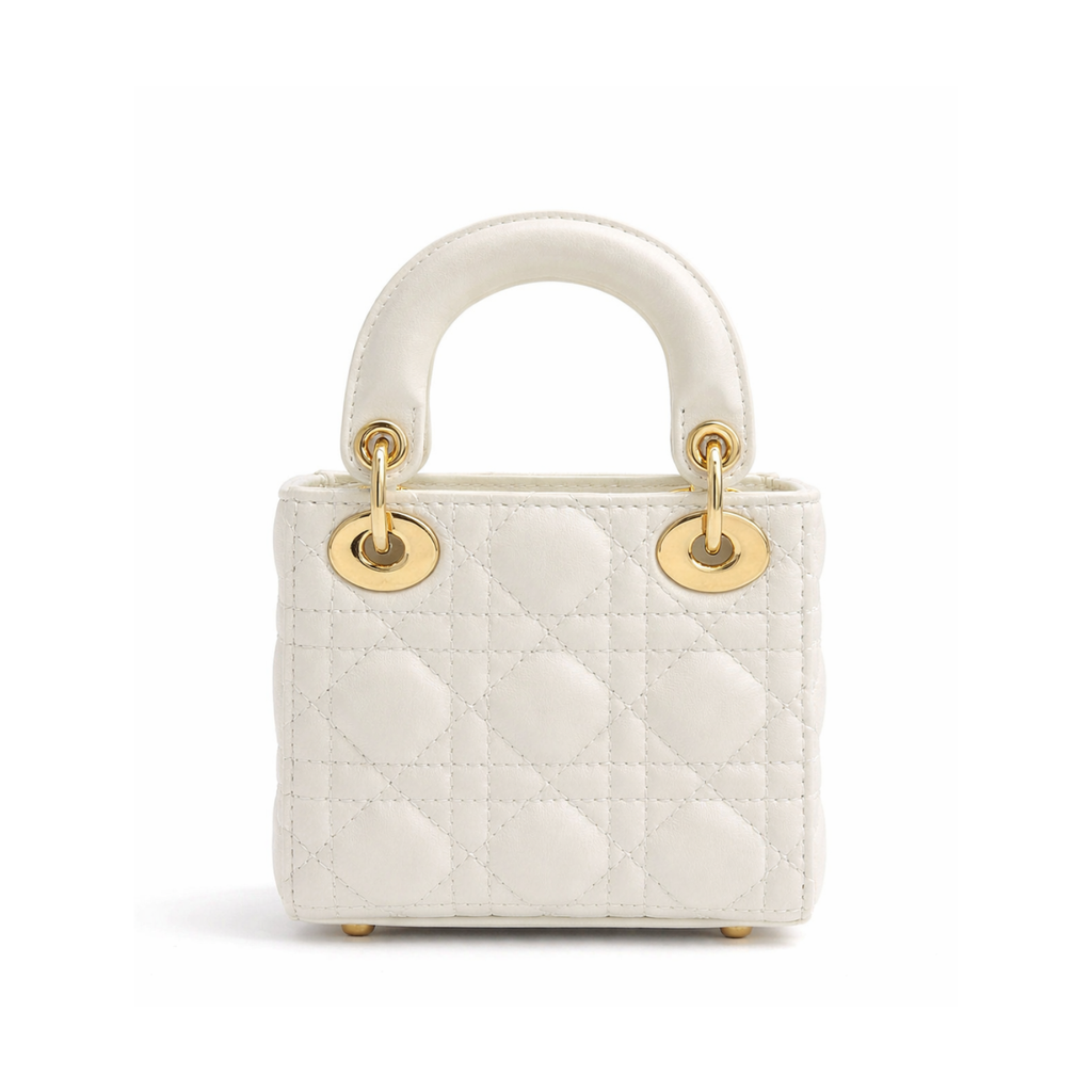 DIOR LADY MINI