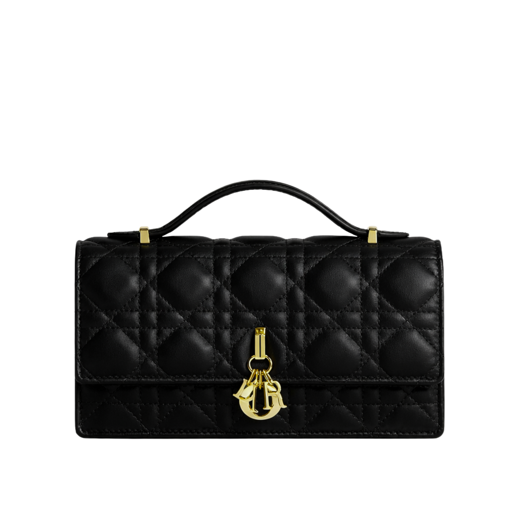DIOR TOP HANDLE BAG