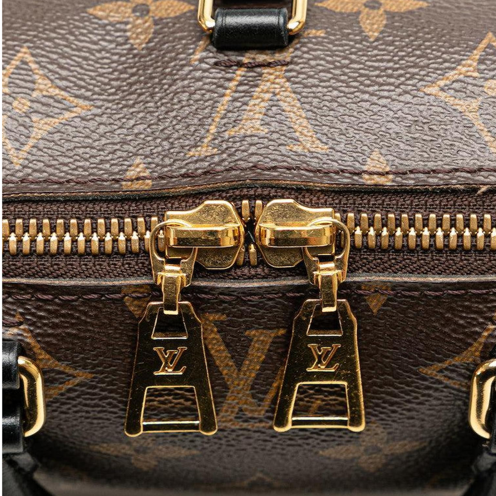 LOUIS VUITTON TOILE MONOGRAM