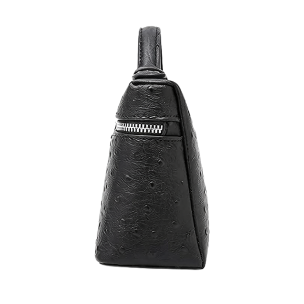 LORO PIANA VANITY BAG