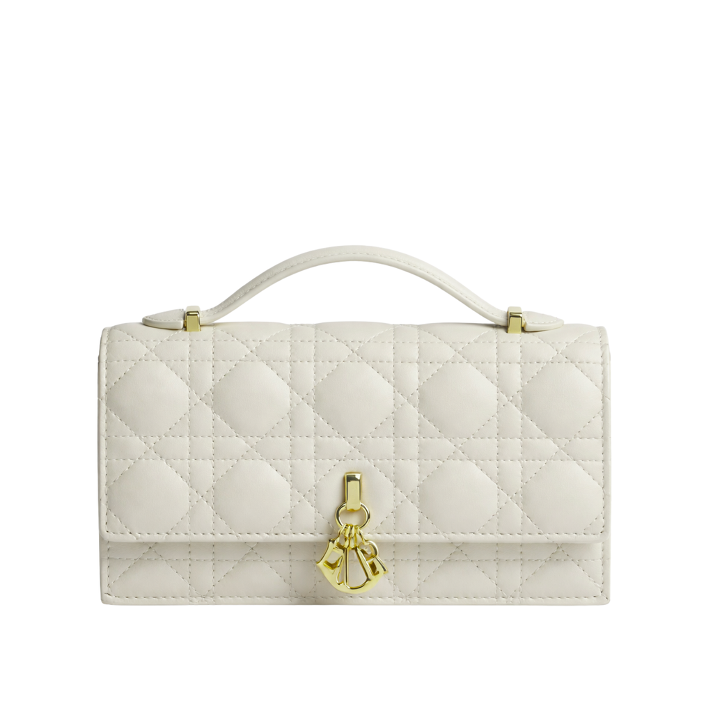 DIOR TOP HANDLE BAG