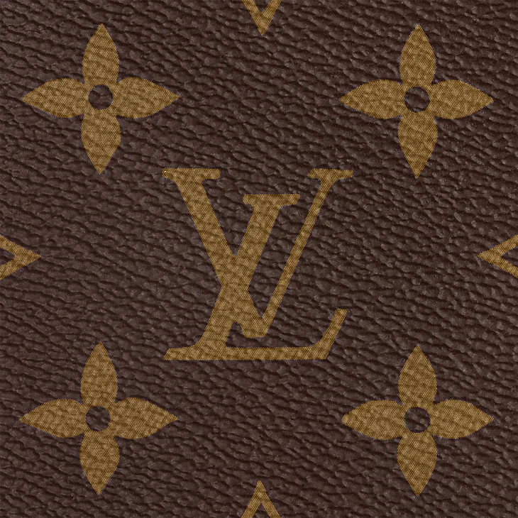LV Sac Speedy Bandoulière 20